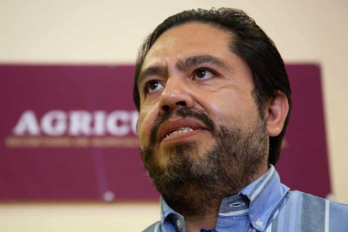 Tras escándalo y protestas, Segalmex comienza a liquidar a productores Tras escándalo y protestas, Segalmex comienza a liquidar a productores