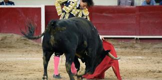 Sobreseído el amparo que impedía celebrar corridas de toros en Guadalajara