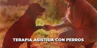 Terapia asistida con perros - El Expresso de las 10 - Mi. 22 Mayo 2024