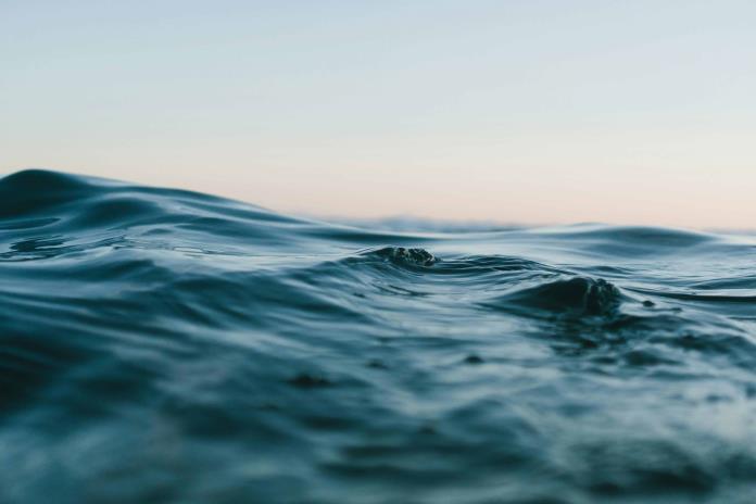 La minería submarina implicará un daño a gran escala y escasos beneficios, según expertos La minería submarina implicará un daño a gran escala y escasos beneficios, según expertos