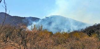 Voluntarios y bomberos forestales combaten incendio en paraje El Tanque de Poncitlán