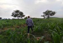 Agricultores de la frontera sur de México urgen declarar un desastre por las lluvias