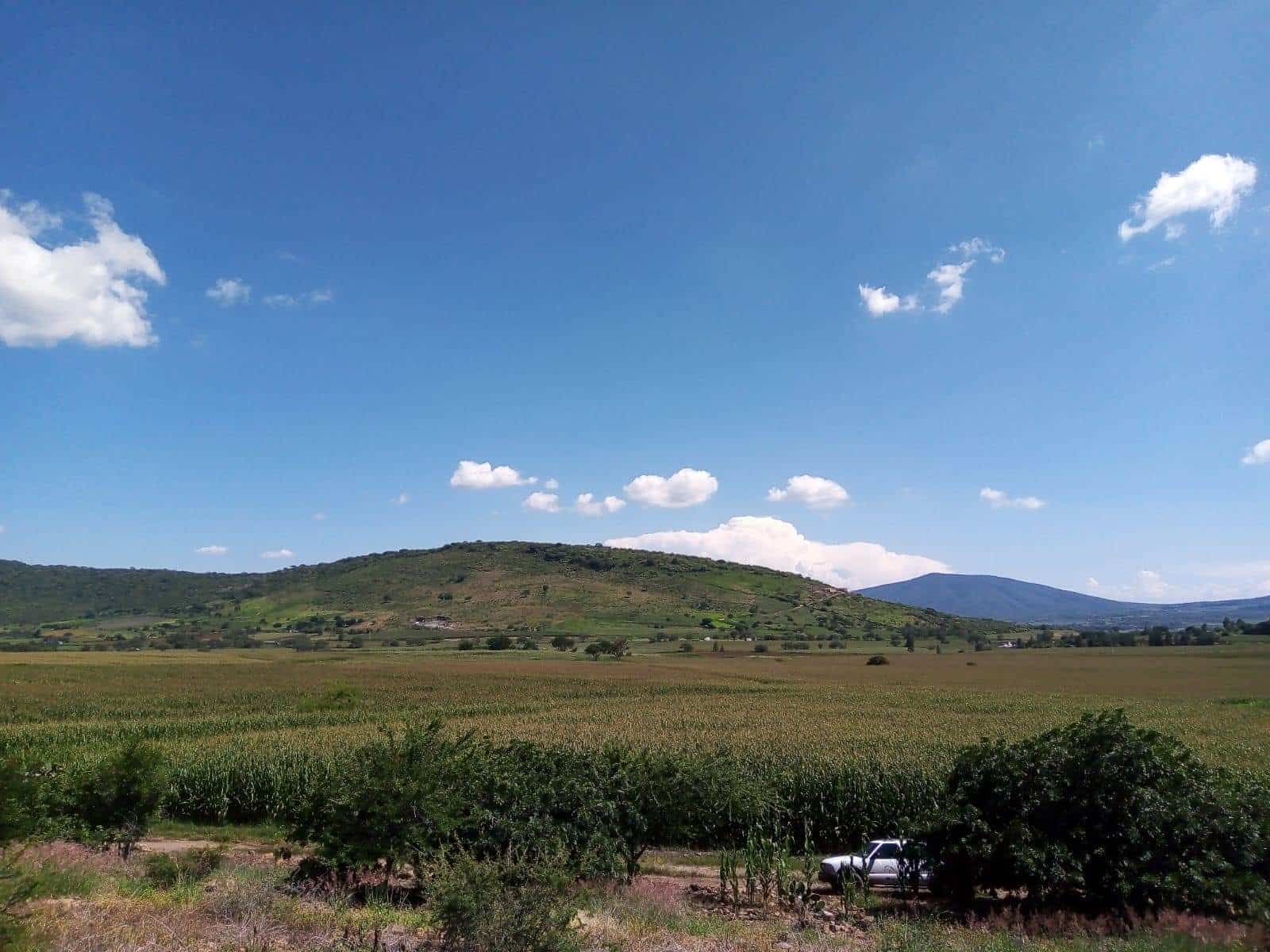 Falta de rentabilidad expulsa a agricultores de Jalisco hacia Estados Unidos
