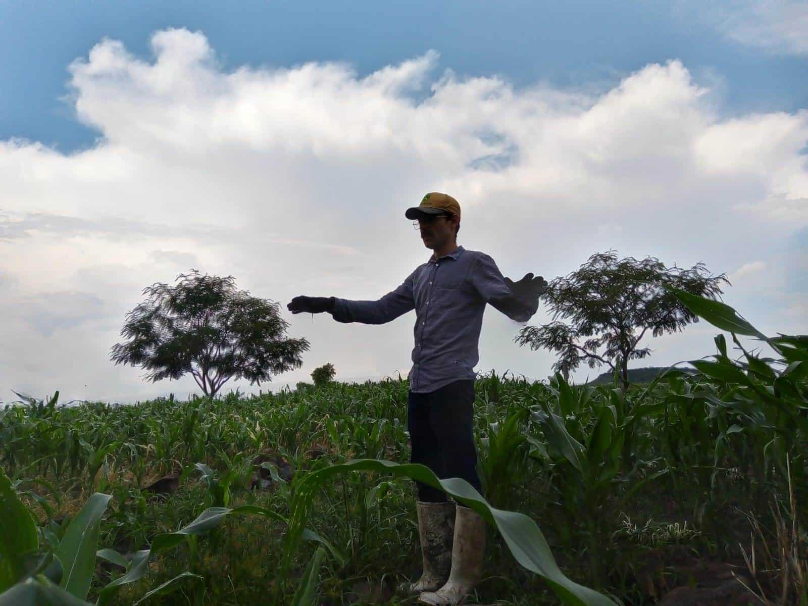 Falta de rentabilidad expulsa a agricultores de Jalisco hacia Estados Unidos
