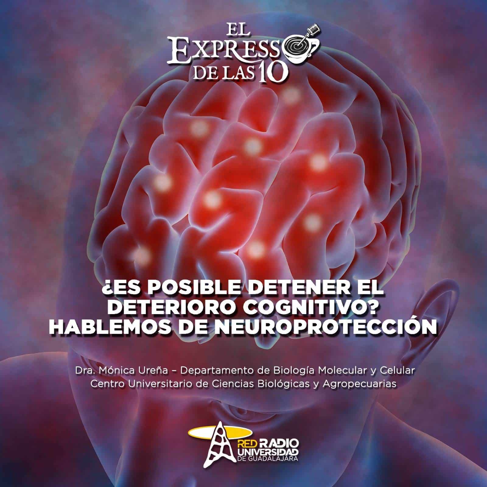 ¿Es posible detener el deterioro cognitivo?  Hablemos de Neuroprotección - El Expresso de las 10 - Lu. 03 Junio 2024