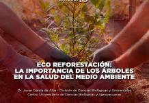 Eco Reforestación: La importancia de los árboles en la salud del medio ambiente - El Expresso de las 10 - Mi. 05 Junio 2024