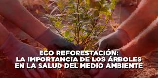 Eco Reforestación: La importancia de los árboles en la salud del medio ambiente - El Expresso de las 10 - Mi. 05 Junio 2024