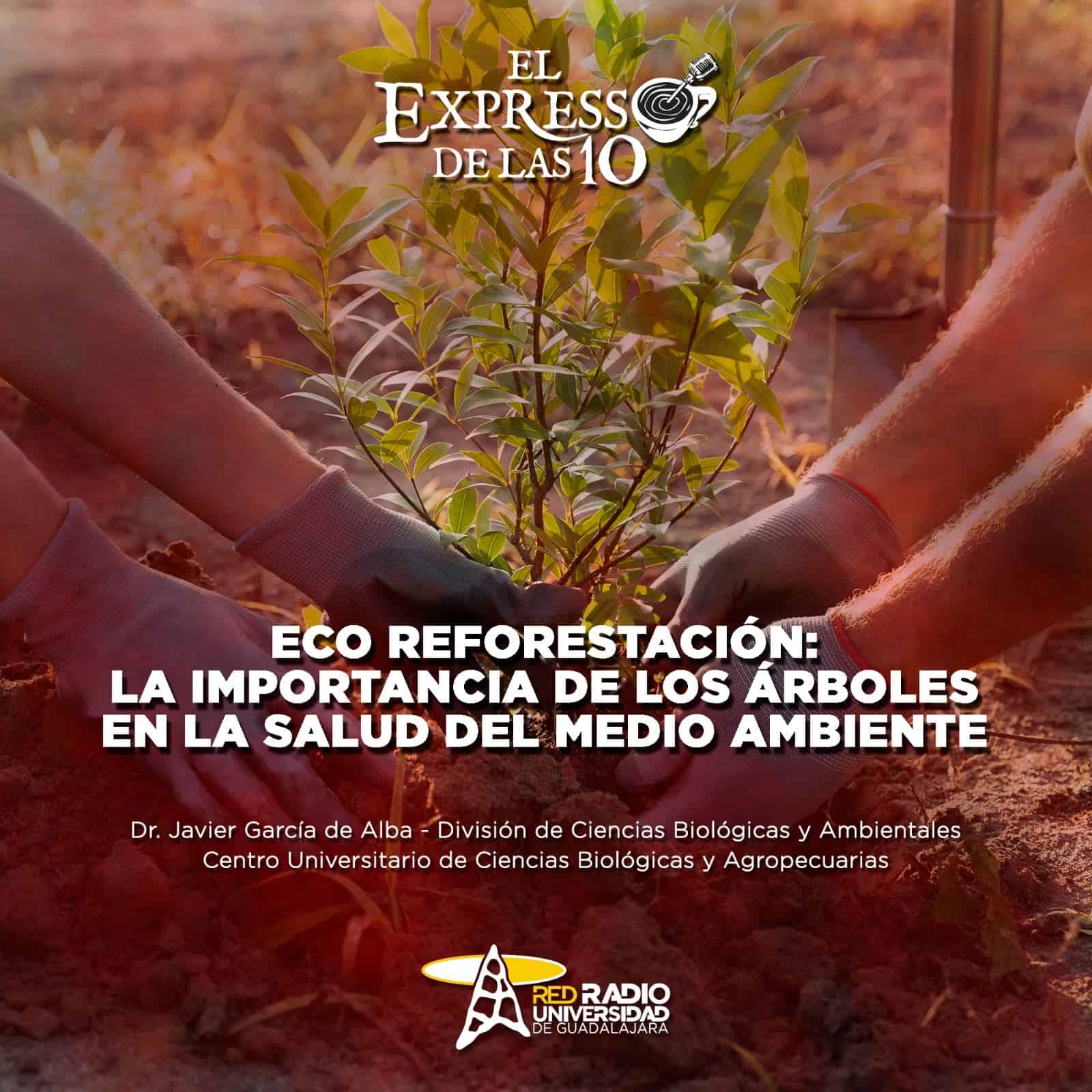 Eco Reforestación: La importancia de los árboles en la salud del medio ambiente - El Expresso de las 10 - Mi. 05 Junio 2024