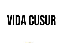 Vida CUsur 05 de Junio 2024