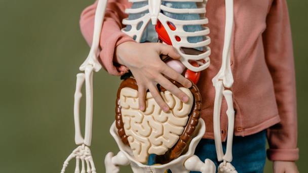 Los trasplantes de órganos crecen un 25 % en Yucatán