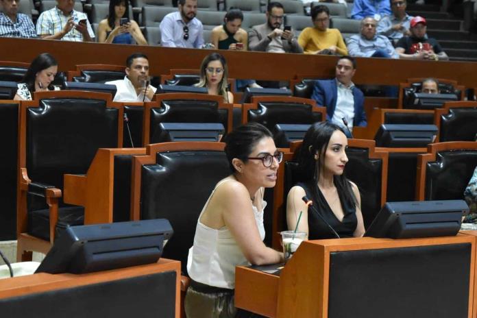 Pese a protestas, Congreso ignora Ley Vicaría; crea sólo un agravante
