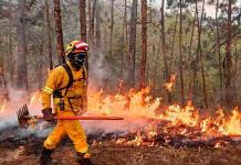Incendios forestales en la Costa Sur de Jalisco en 2024 superan las afectaciones del año anterior en solo 6 meses
