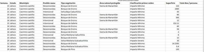 Incendios forestales en la Costa Sur de Jalisco en 2024 superan las afectaciones del año anterior en solo 6 meses