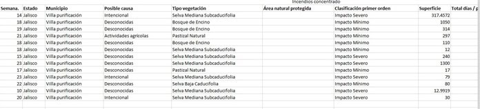 Incendios forestales en la Costa Sur de Jalisco en 2024 superan las afectaciones del año anterior en solo 6 meses