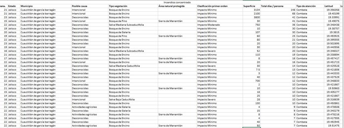 Incendios forestales en la Costa Sur de Jalisco en 2024 superan las afectaciones del año anterior en solo 6 meses