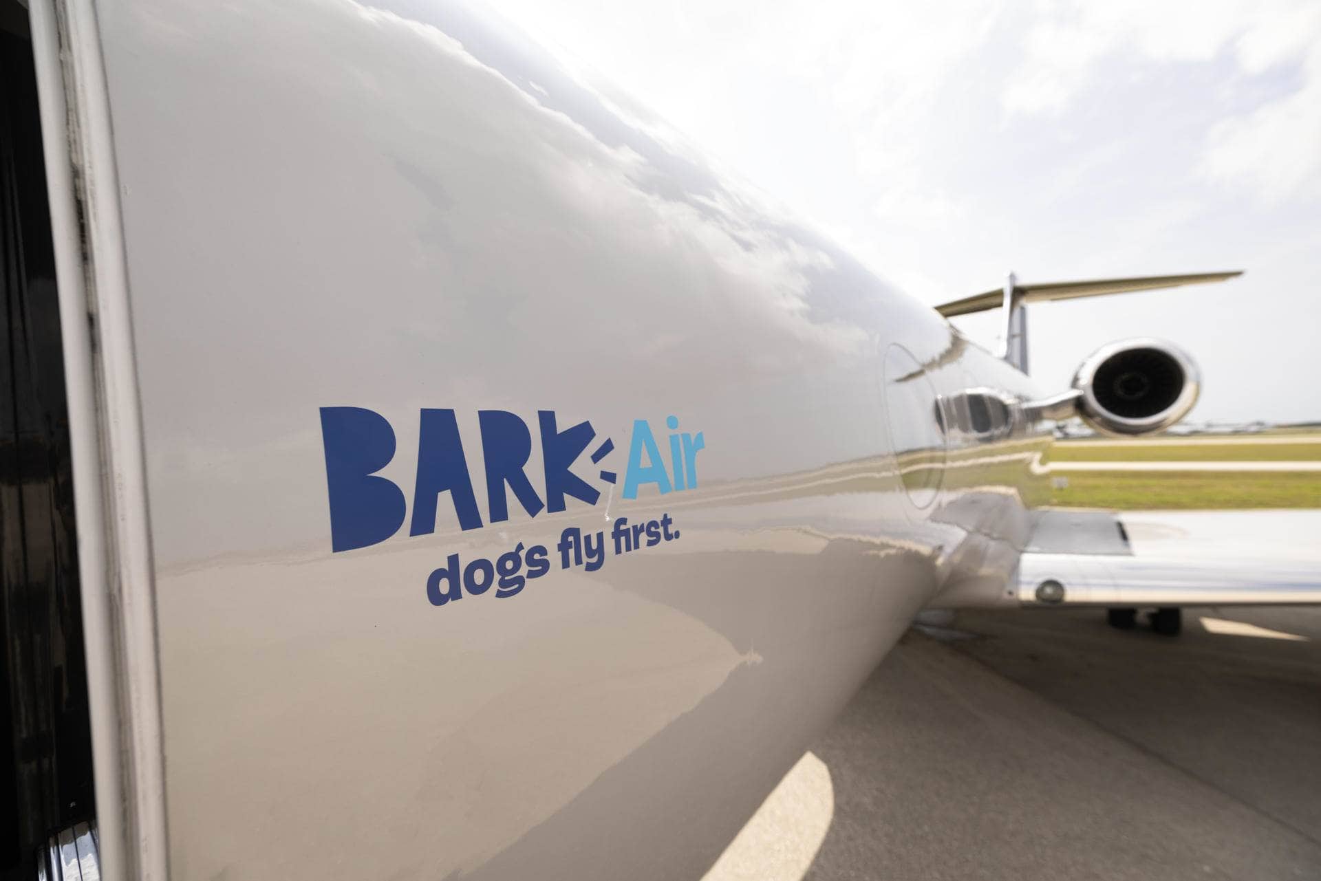 La aerolínea Air Ladrido se estrena como alternativa de lujo para perros