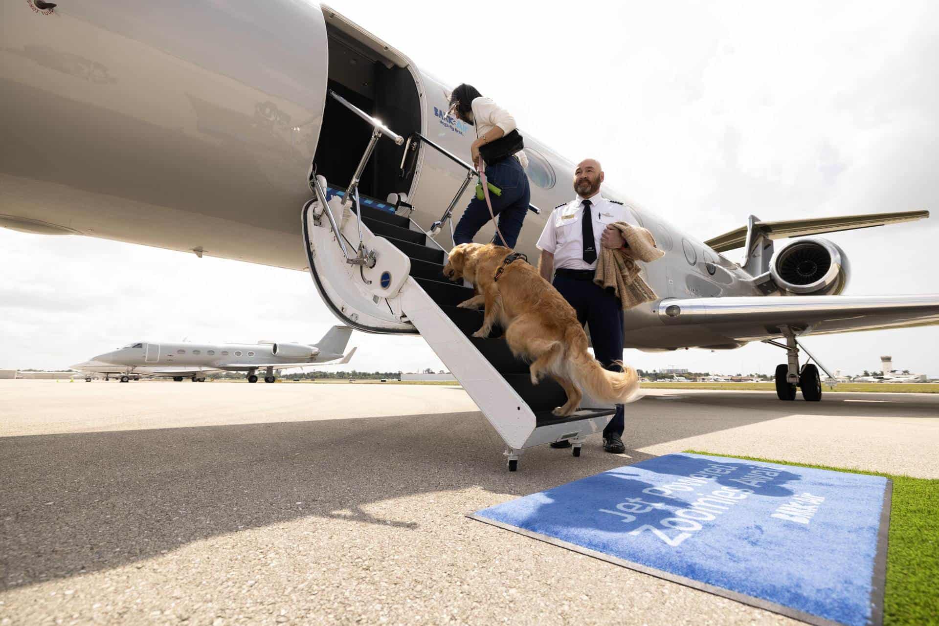 La aerolínea Air Ladrido se estrena como alternativa de lujo para perros