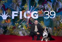 Totopo, el perro que robó corazones en el Festival Internacional de Cine de Guadalajara