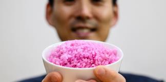 Científicos surcoreanos crean arroz carnoso con alto contenido de proteínas