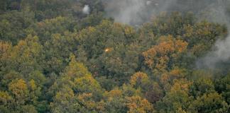 Nuevo México y California continúan en alerta por fuertes incendios forestales