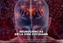 Neurociencias en la vida cotidiana - El Expresso de las 10 - Ma. 18 Junio 2024