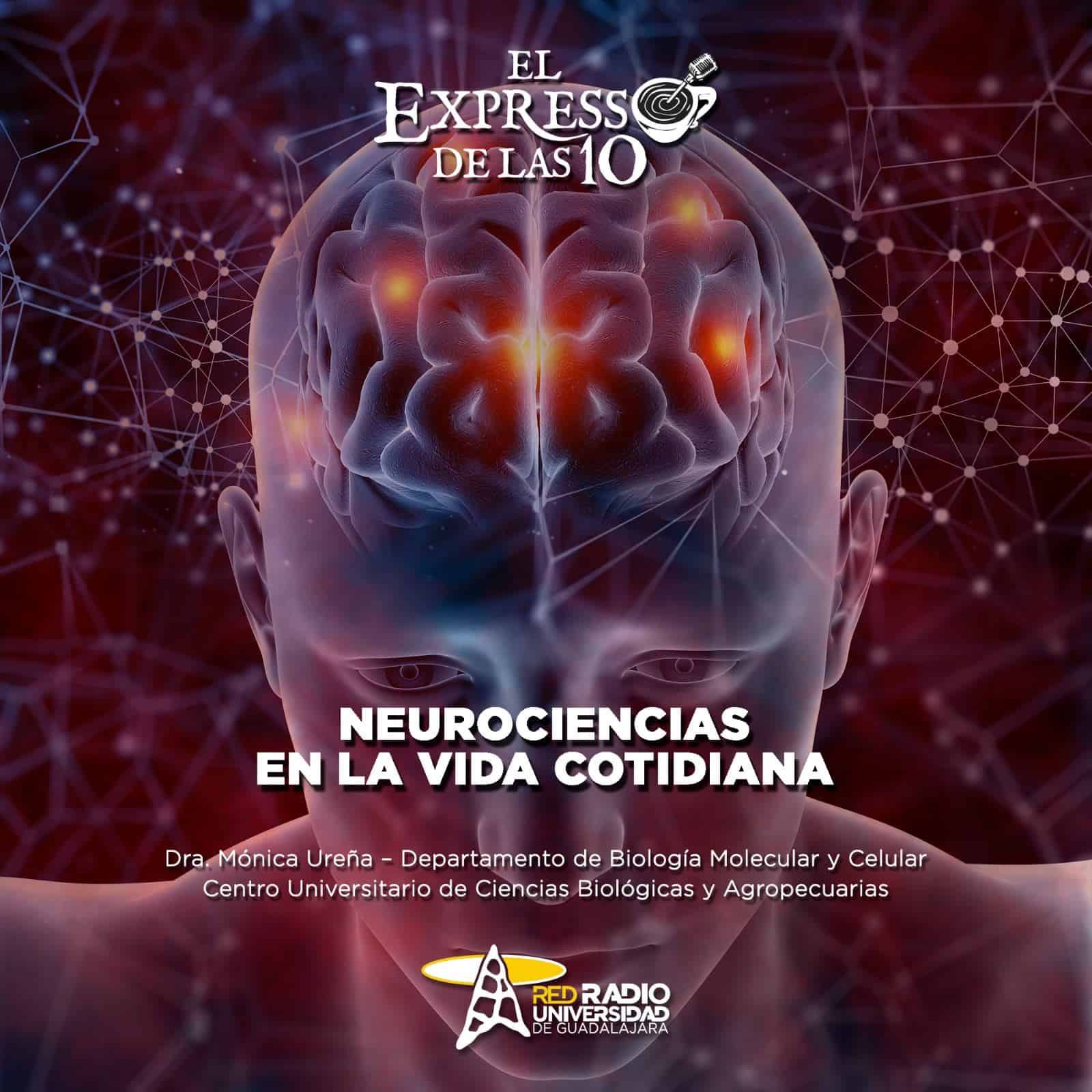 Neurociencias en la vida cotidiana - El Expresso de las 10 - Ma. 18 Junio 2024