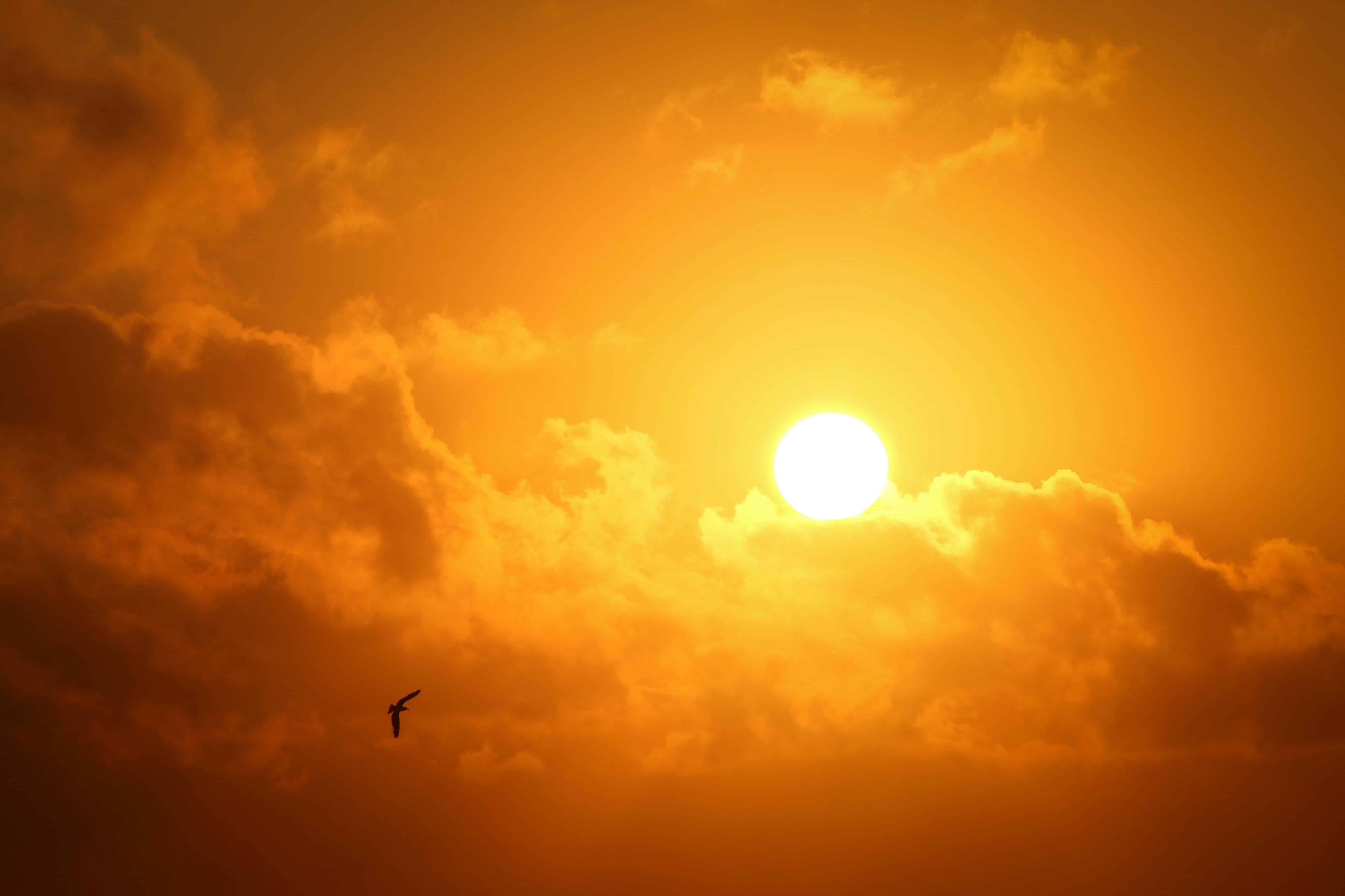 El calor extremo acelera el proceso de envejecimiento en los ancianos