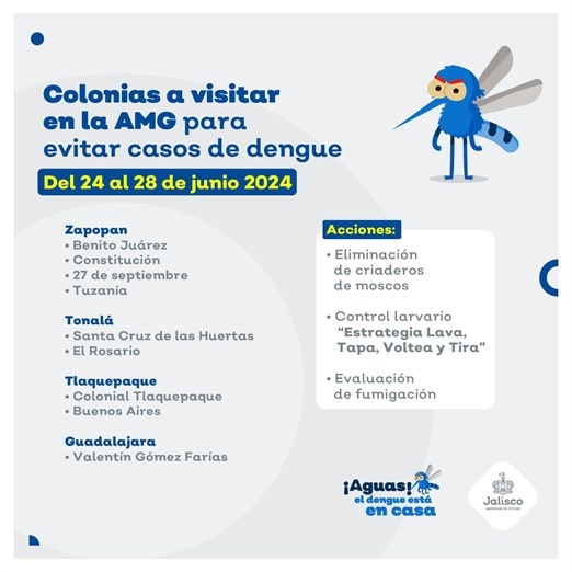 Nueve de cada 10 casos de dengue en Jalisco son serotipo 3; eleva la gravedad y signos de alerta