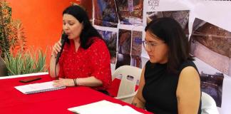 Obligan a autoridades a reforestar zona intervenida por el Colector San Rafael