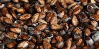 ¿Quién se beneficia de la subida de los precios del cacao?