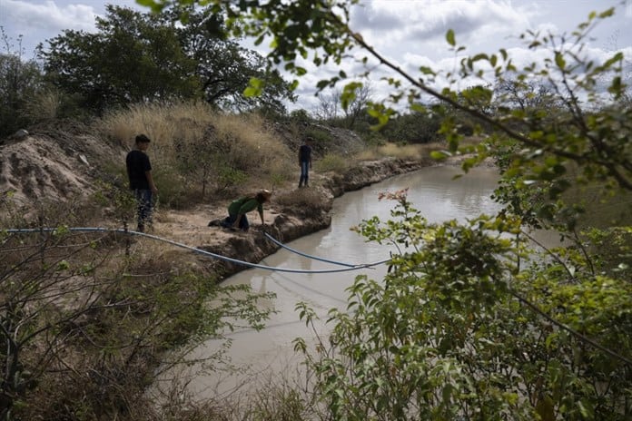 La agroecología, un arma contra la desertificación en noreste de Brasil