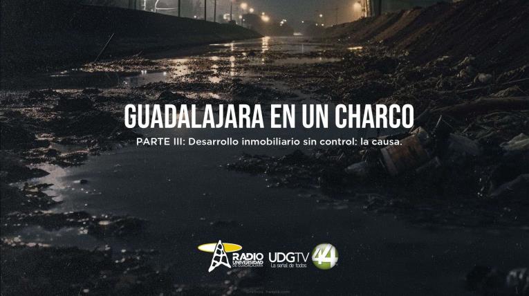 Guadalajara en un charco Parte III; Desarrollo inmobiliario sin control: la causa