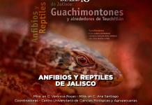 Anfibios y reptiles de Jalisco: Guachimontones y alrededores de Teuchitlán - El Expresso de las 10 - Vi. 05 Julio 2024