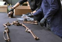 Los restos humanos hallados en el aeropuerto AIFA muestran vida prehispánica en México