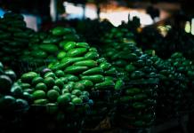 Denuncian subida del 40 % en precio del aguacate por la violencia