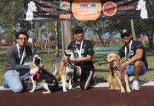 Ocotlenses podrán participar con sus mascotas en la carrera Patitas a Correr