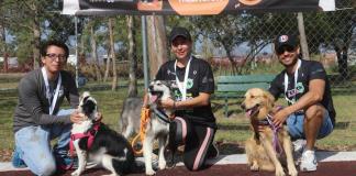 Ocotlenses podrán participar con sus mascotas en la carrera Patitas a Correr