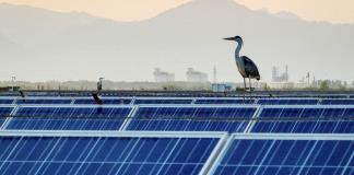 China construye el doble de capacidad eólica y solar que el resto del mundo, según estudio
