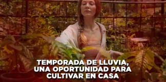 Temporada de lluvia, una oportunidad para cultivar en casa - El Expresso de las 10 - Vi. 12 Julio 2024