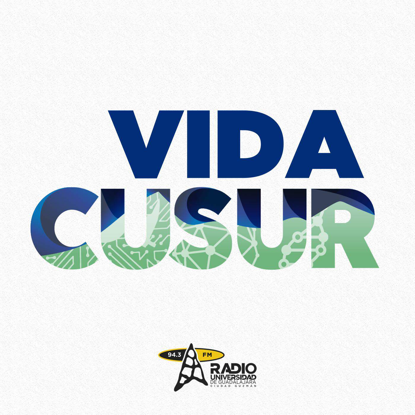 vidacusur