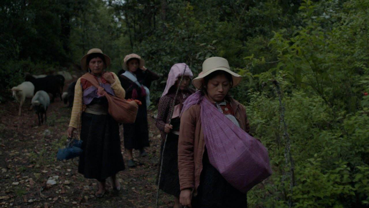 ‘Formas de atravesar un territorio’, el documental mexicano que llega al festival de cine de Locarno 