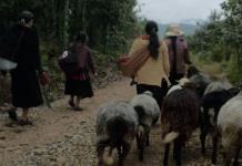 ‘Formas de atravesar un territorio’, el documental mexicano que llega al festival de cine de Locarno 