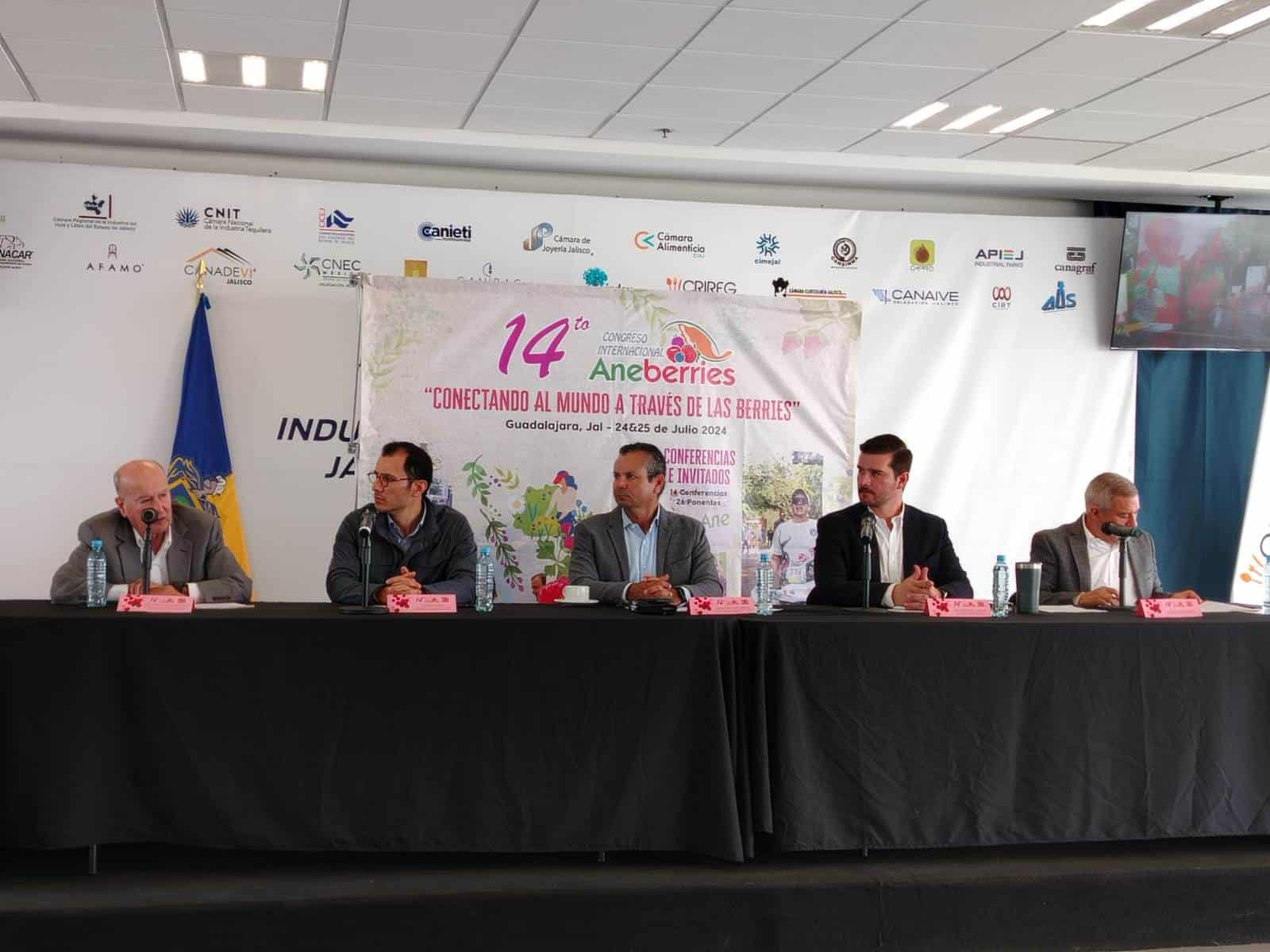 Sequía en México reduce exportaciones de berries a Estados Unidos