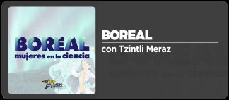 Boreal