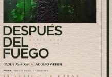 Después del Fuego: Exposición que invita a la reflexión sobre incendios forestales