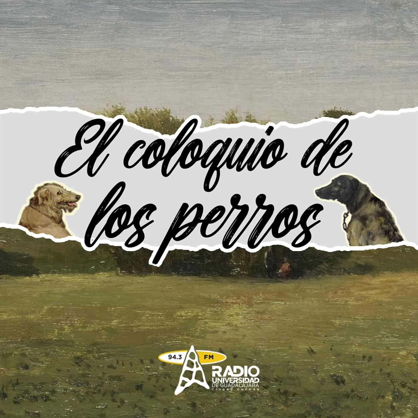 coloquiodelosperros