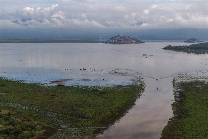 En México, rescatan al lago de Pátzcuaro con peces blancos y limpieza de manantiales