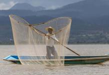 En México, rescatan al lago de Pátzcuaro con peces blancos y limpieza de manantiales