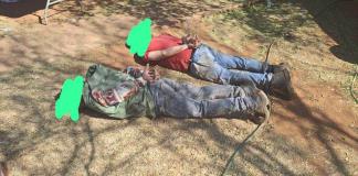 Tres mexicanos detenidos en operativo antidrogas en Sudáfrica