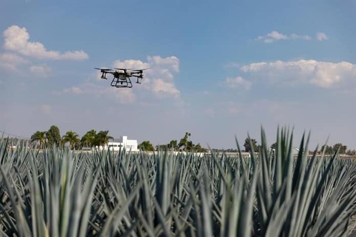 Agrotecnología china revitalizó campos de mi familia, asegura piloto mexicana de drones agrícolas